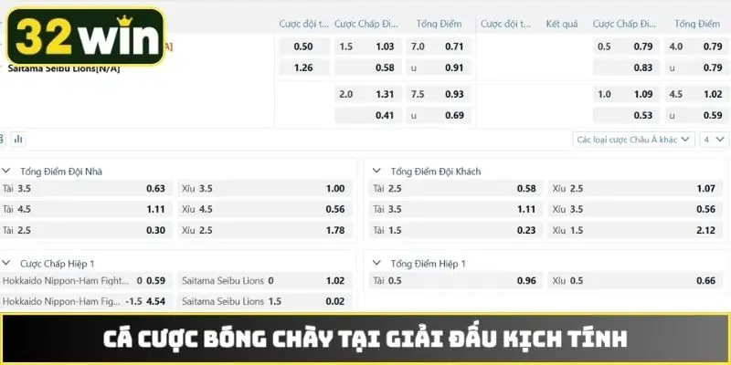 Cá cược bóng chày tại giải đấu kịch tính